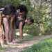 Poi  la volta della camminata da quadrupede: gli atleti si posizionano uno a fianco all'altro...
